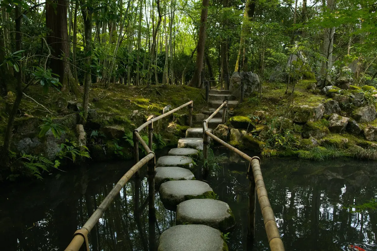 Chemin de pierres plates traversant un jardin de mousse et de bambou