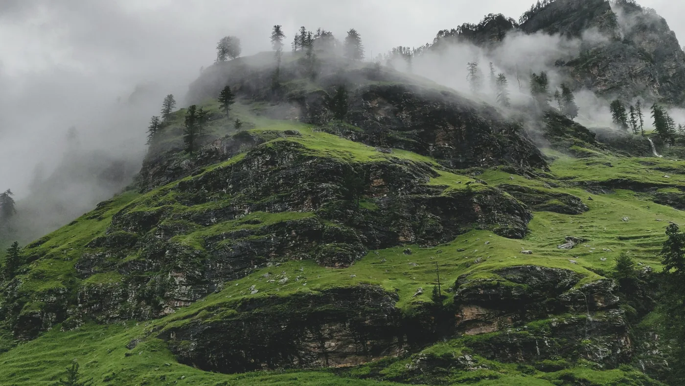 Collines dans la brume, prairie et lisière de bois